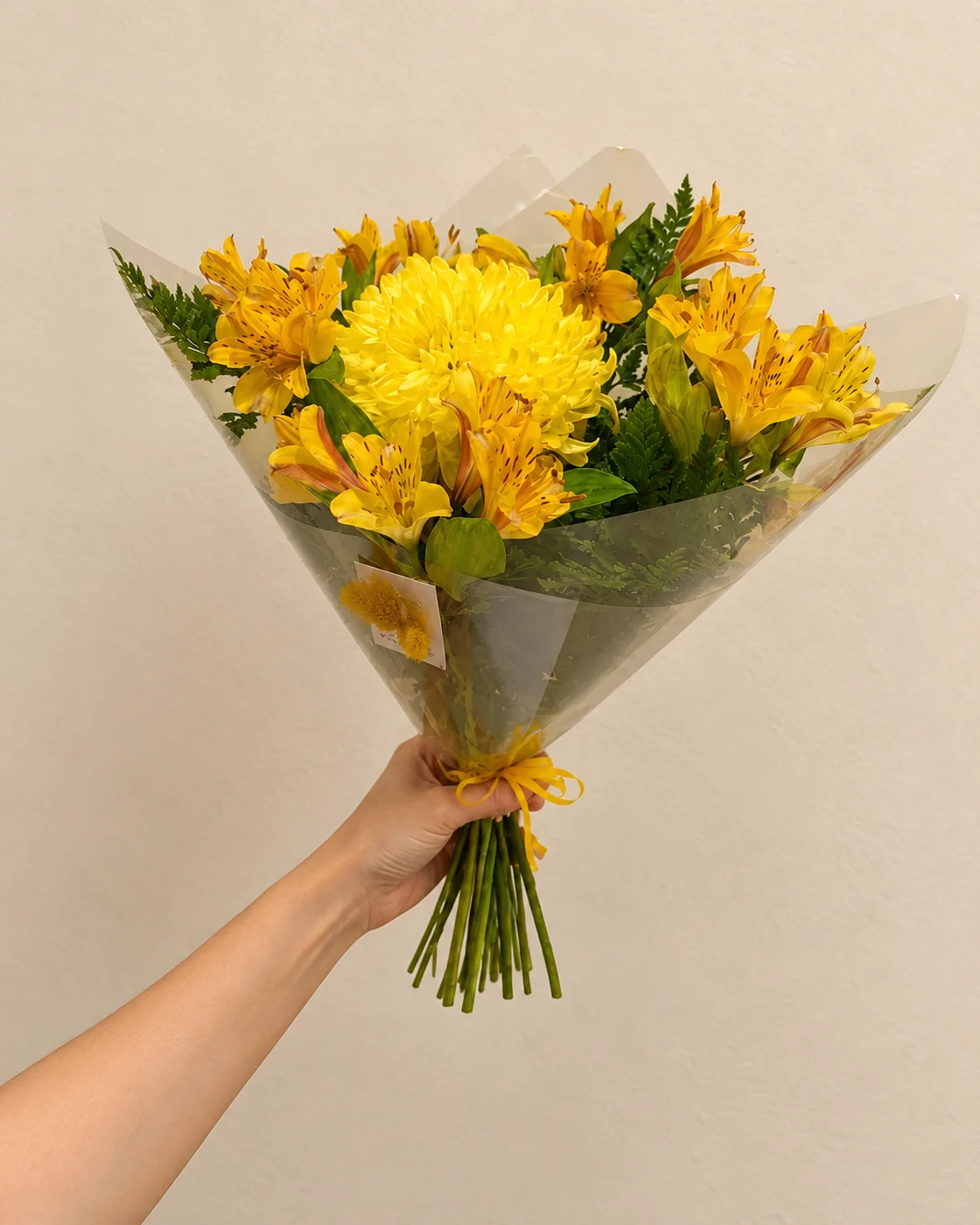Corazon Amarillo 2
