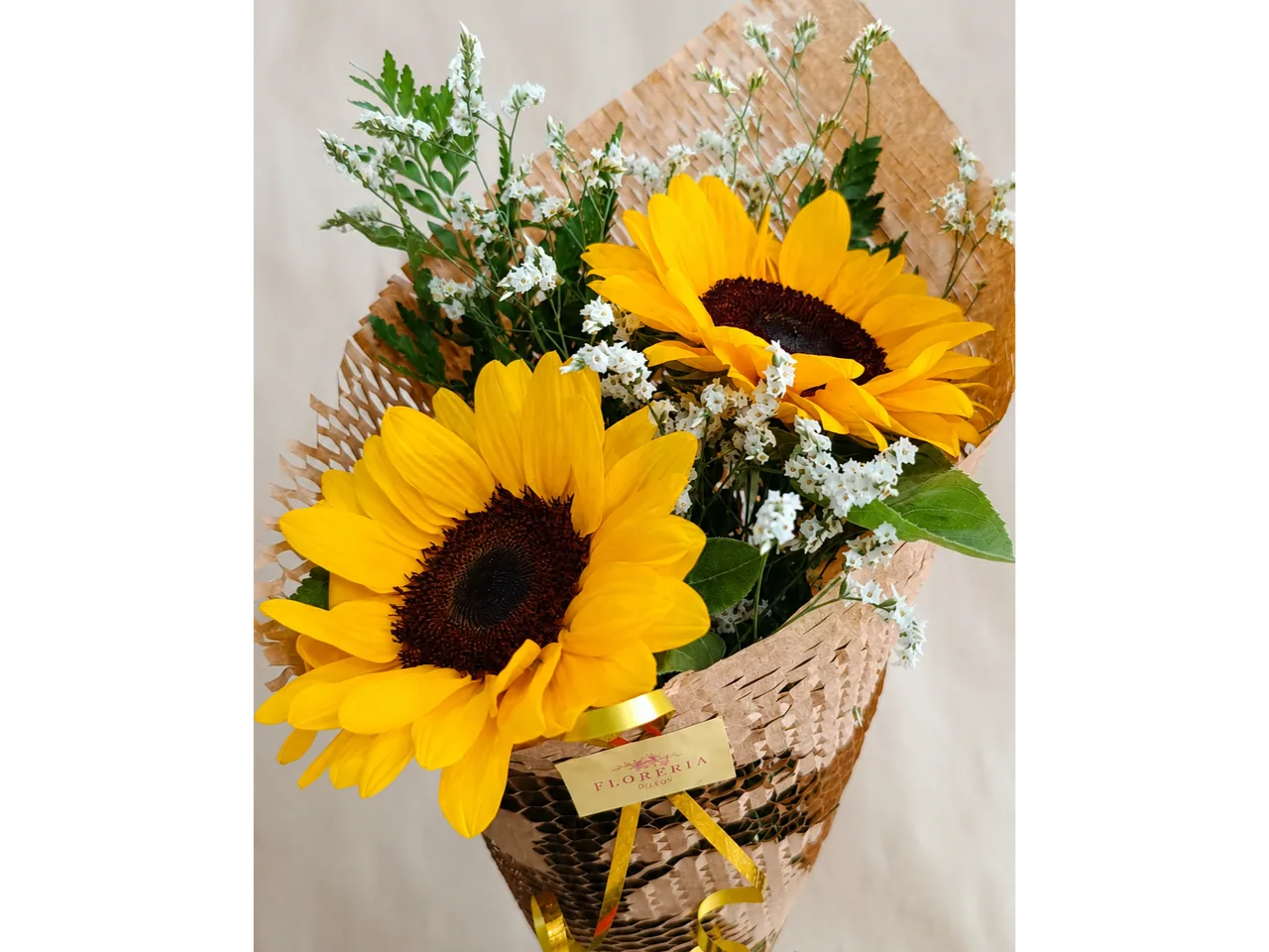 Mi Sol Mi Girasol, foto 2