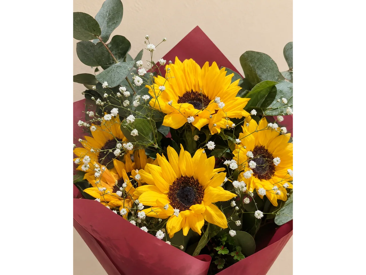 5 Girasoles, foto 2