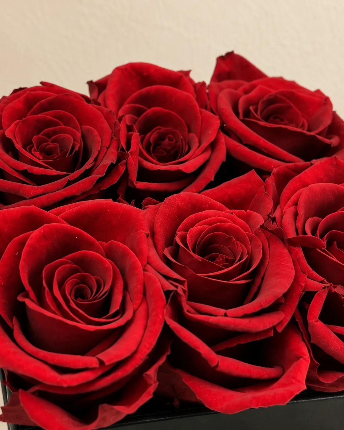 BOX DE ROSAS X6, foto 2