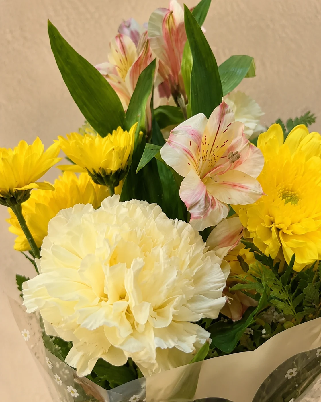 Pequeña Primavera, foto 2