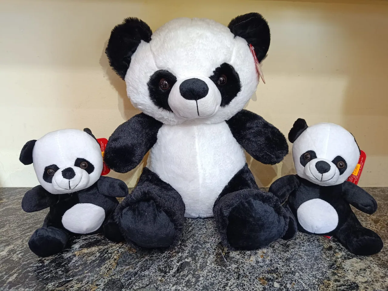 Osos Panda