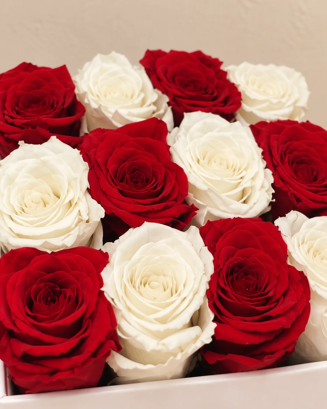 BOX DE ROSAS X12, foto 2