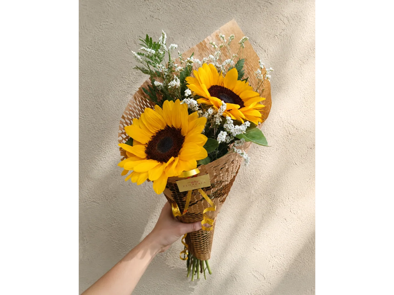 Mi Sol Mi Girasol