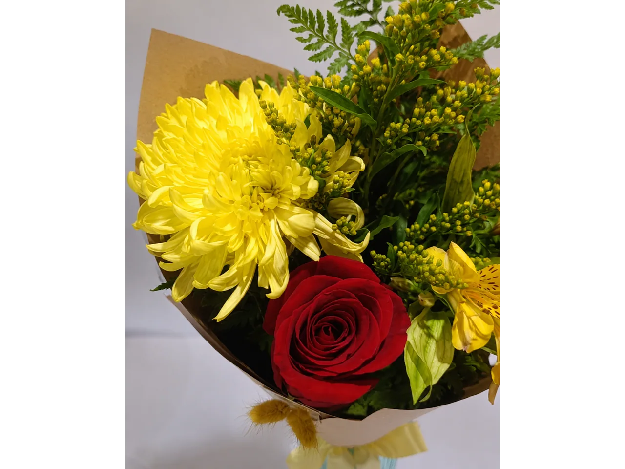 Rosa Linda 2, foto 3
