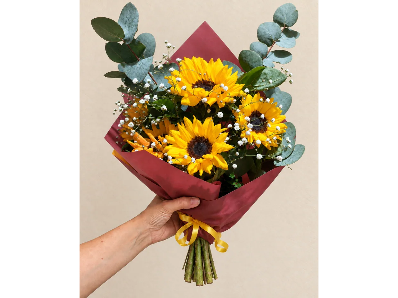 5 Girasoles